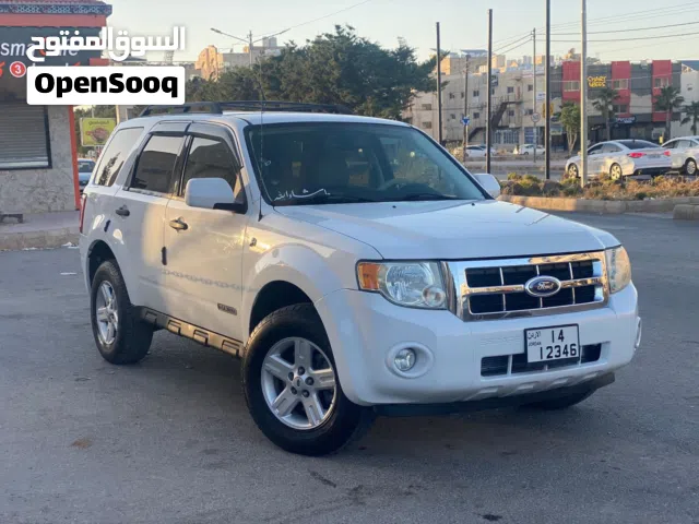 2008, فورد, اسكايب, Standard