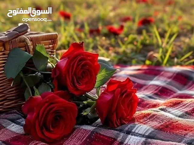 السلام عليكم مطلوب طقم مورس نظيف لحد 50دينار