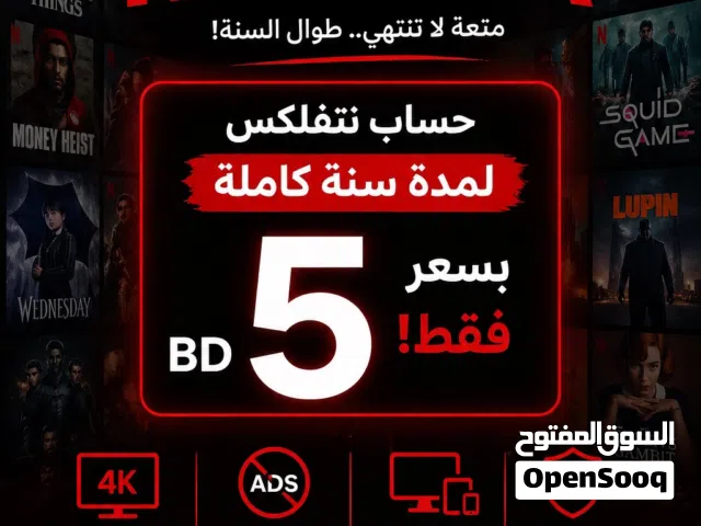 Netflix Accounts and Characters for Sale in Southern Governorate