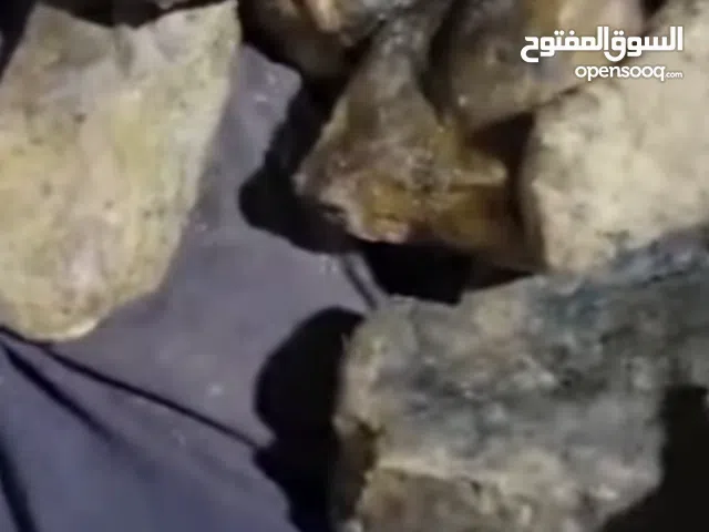 متواجد عنبر النوع الاندر بضاعة اصليه وذات جوده