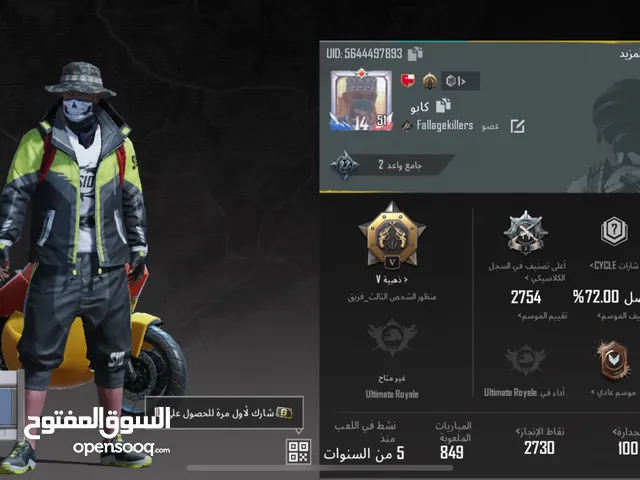 Pubg Accounts and Characters for Sale in Al Dakhiliya