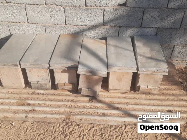 صناديق سفر مستعمل