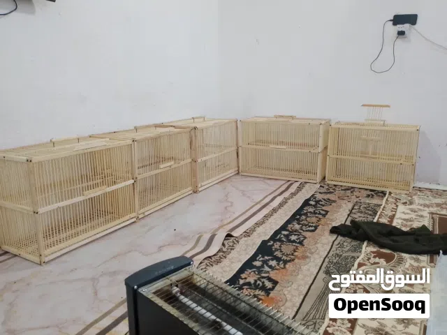 اقفاص بلابل للبيع