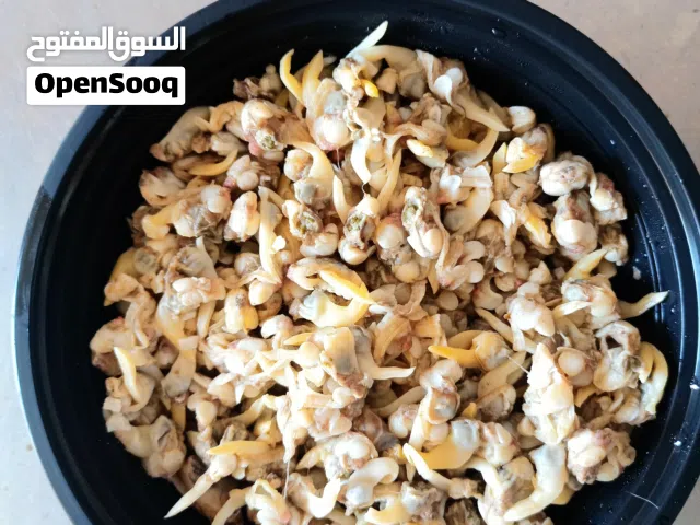 دوك او صدف