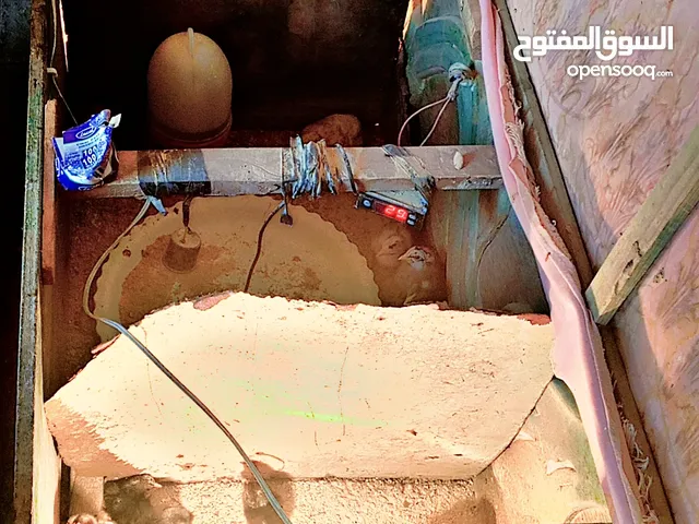 صيصان جاج بلدي للبيع بسعر مناسب الي ودو يوخذ قشه وحده