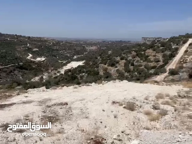 ارض للبيع بلعا