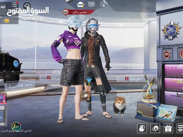 Pubg Accounts and Characters for Sale in Al Ain