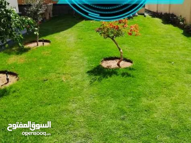 نجيله طبيعي جده