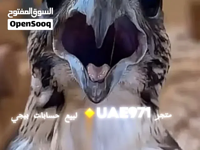 Pubg Accounts and Characters for Sale in Al Ain