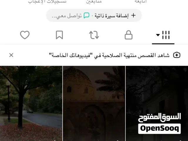 حساب تيك توك