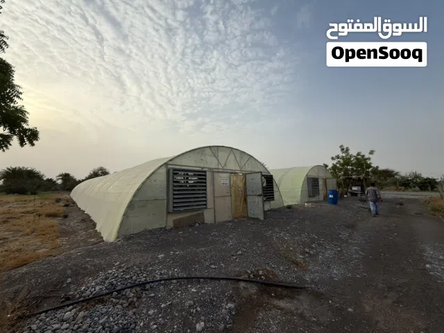 بيوت محمية عدد 2 ممتازة