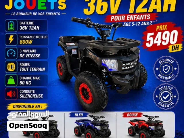 QUAD électrique 36V 800W