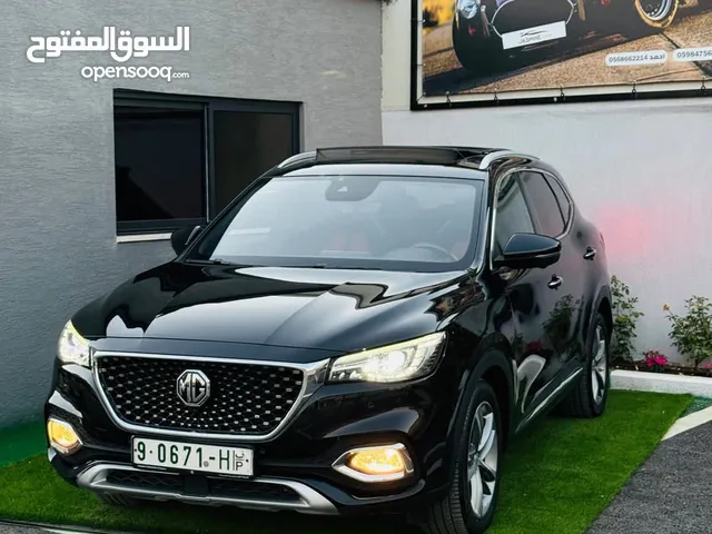 Mg ehs كفالة الشركة الفلسطينية