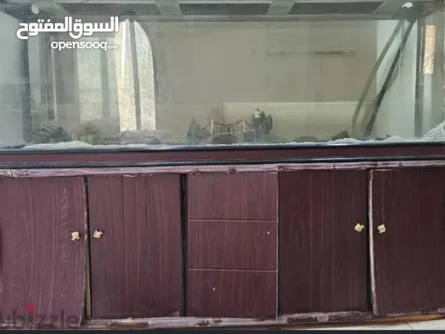 Fish tank 2 meter for sale