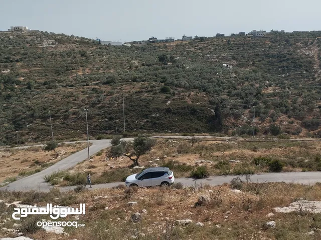ارض للبيع في أراضي بزاريا