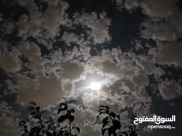 قطعة أرض تجارية بسعر مغري جدا