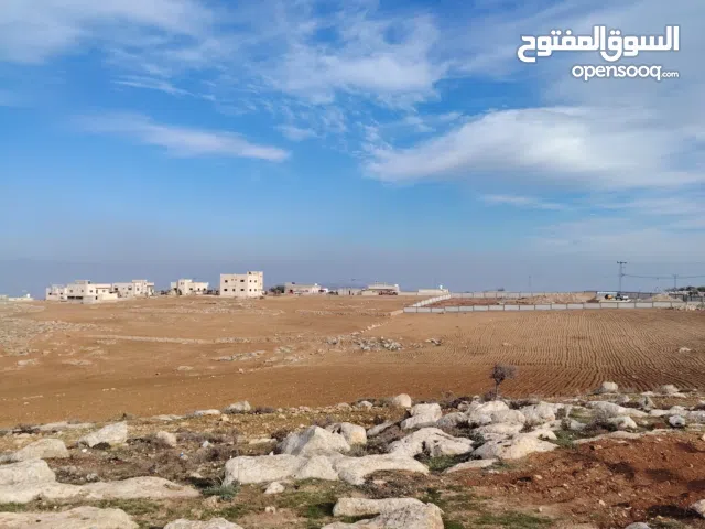 Farm Land for Sale in Jerash Marsa'