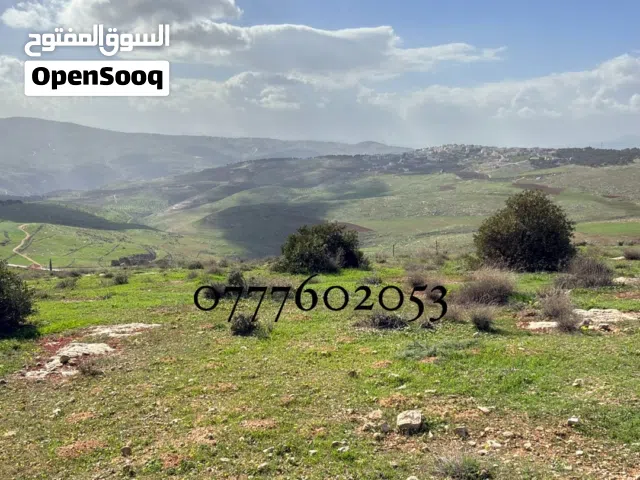 Farm Land for Sale in Jerash Unaybah