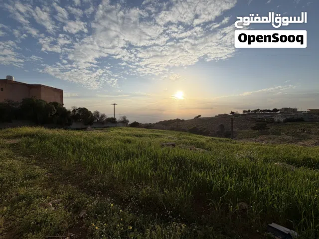 أرض مميزة بإطلالة غربية على البحر الميت بالقرب من عمّان