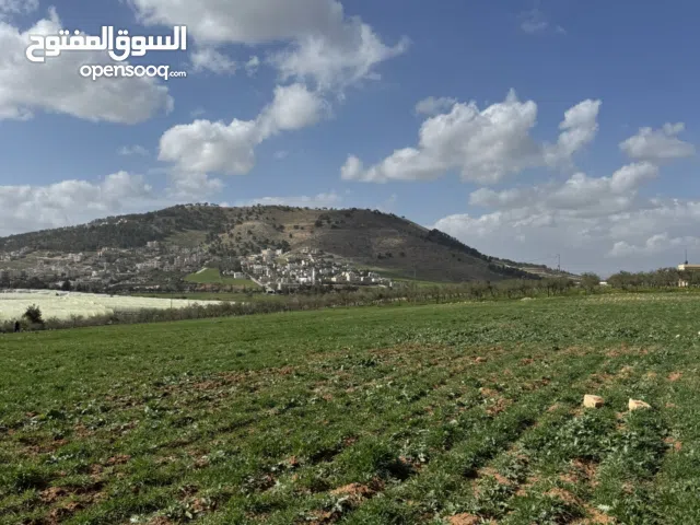 19 Dunums Agricultural Land – Buildable – Abu Nseir – Investment Opportunity