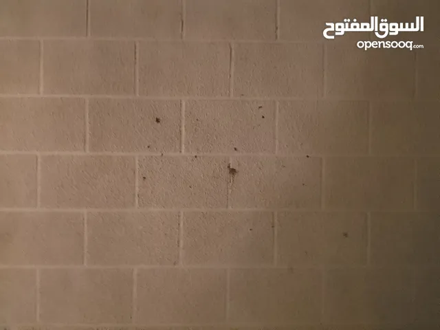 حوش دورين في طريق السور الزنقة المقابلة جامع بلال