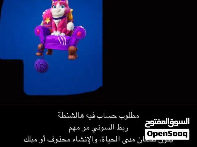 Fortnite Accounts and Characters for Sale in Northern Governorate