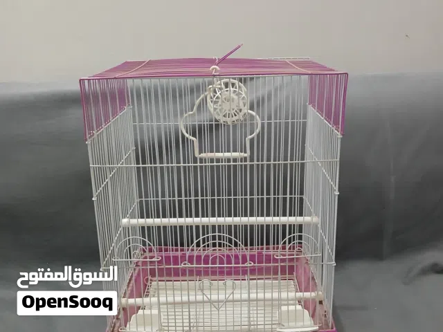 للبيع علا قفصين