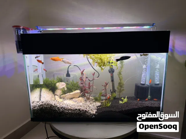 Fish tank for sale