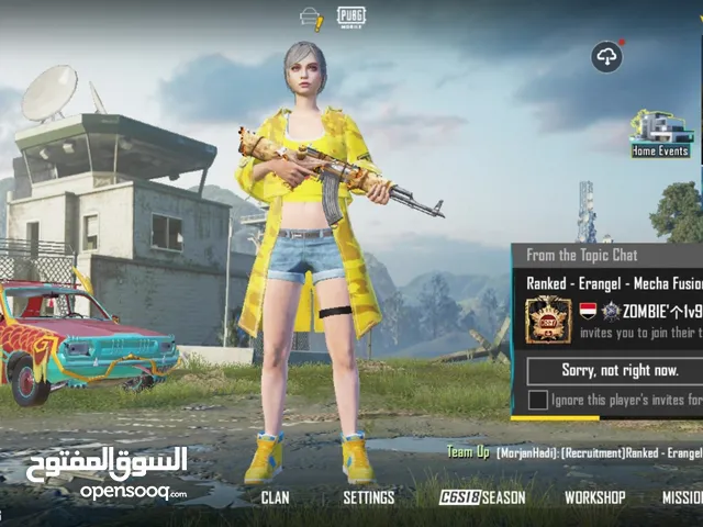 Pubg Accounts and Characters for Sale in Beheira