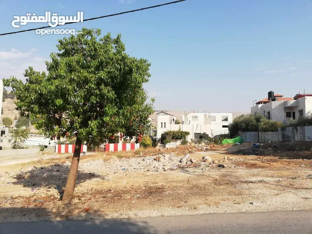 Residential Land for Sale in Nablus Rujeib
