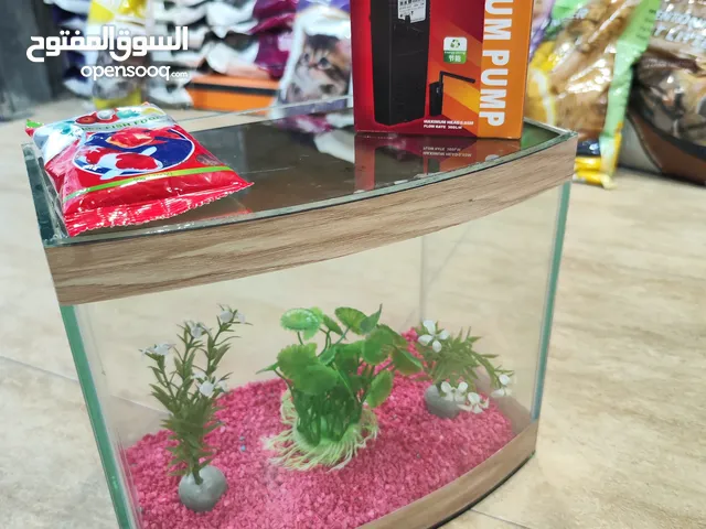 حوض سمك مجهز بالكامل ، فلتر احجار زينه شغل مكتب او غرفة نوم او هدية المقاسات داخل الوصف