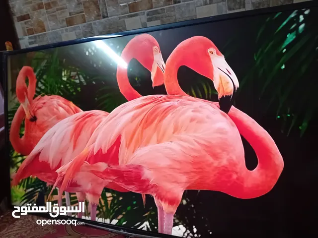LG Smart 50 inch TV in Zarqa