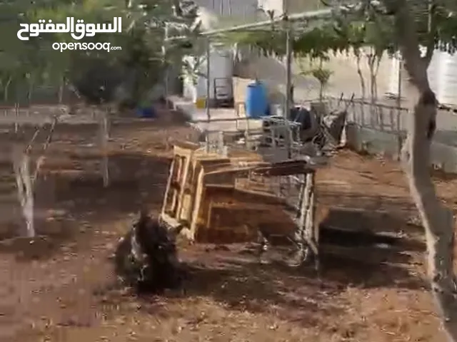 قطعة أرض للبيع منطقة سردا واصل خدمات مسوره وجاهزه مع غرفه
