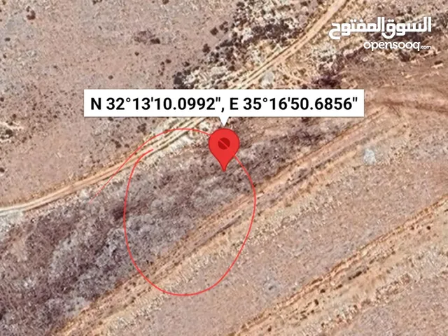 ارض في نابلس . الجبل الشمالي اراضي بلاطة . متصلة بالشارع الدائري حول نابلس