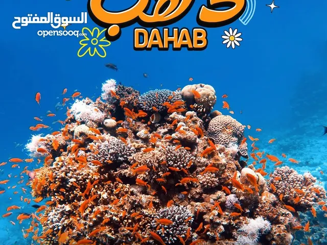 سافر مع حد شبهك