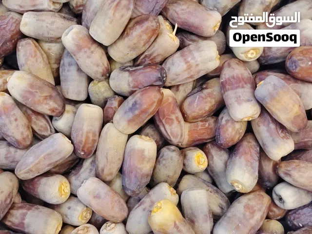 تمر نغال محقب نظيف للبيع