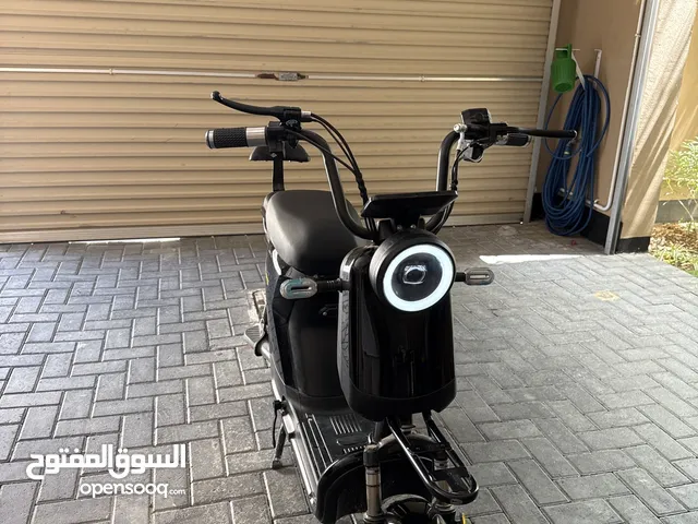Electric e-scooter