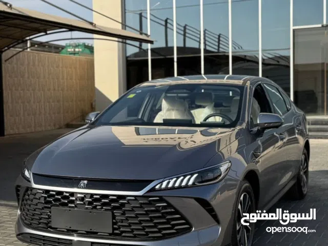 2025, بي واي دي, كين