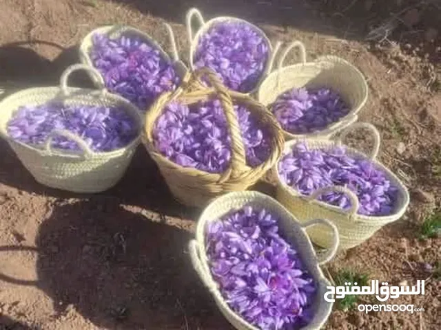 للبيع زعفران حر تاليوين