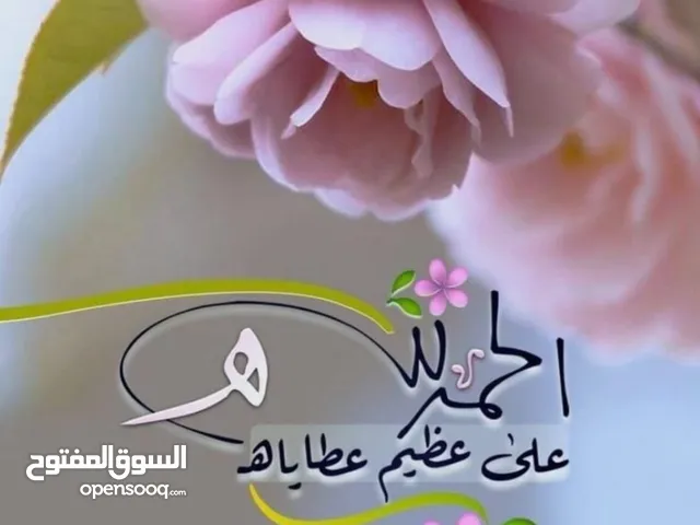 موجود طقم حبش كامل
