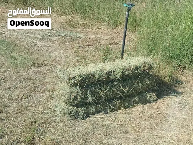 برايد لبيع نضيف وانتاج جديد