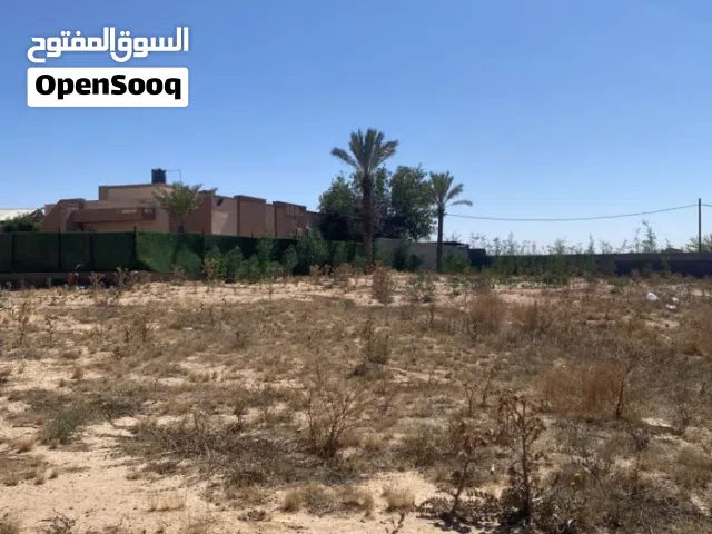 ارض لايجار      واجهتين  على الطريق 70 متر  مساحة الارض 7250 متر    المنطقة تاجوراء. 55 ع الفرعي