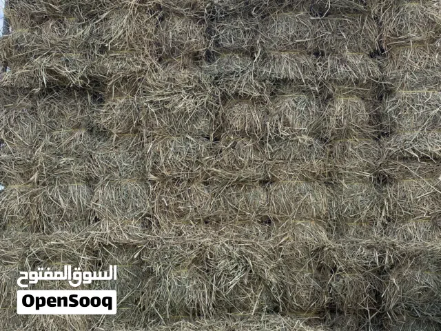 حشيش او برايد