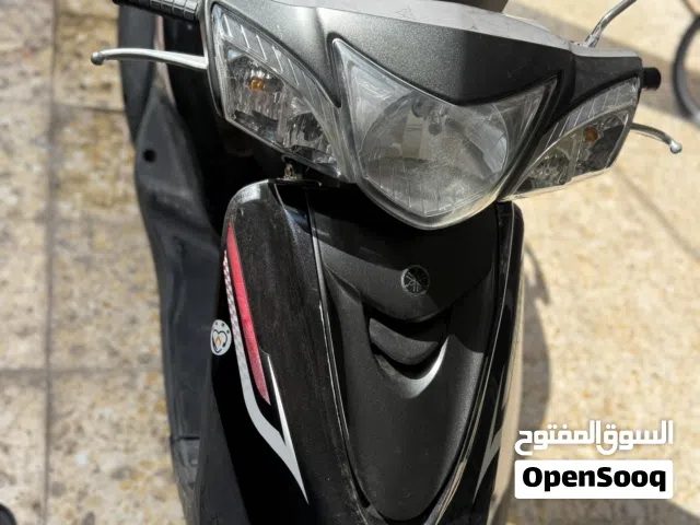 دارجة بريز ببغاء حديث