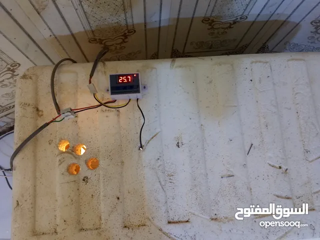 فقاسة للبيع