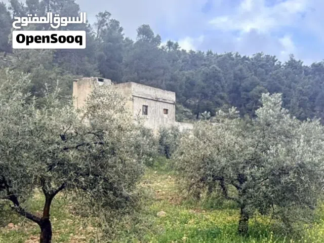 Farm Land for Sale in Jerash Unaybah