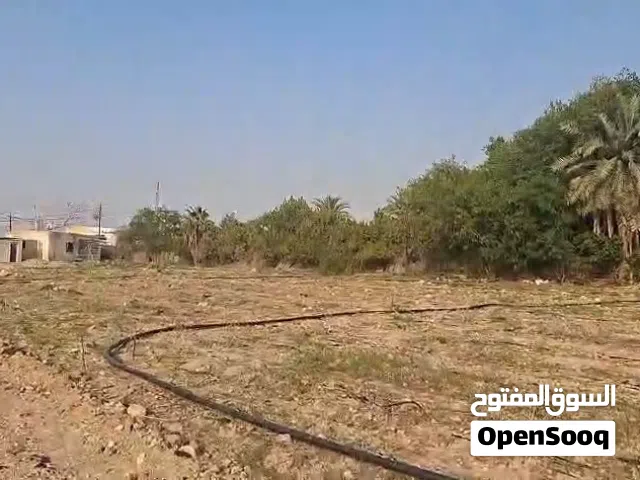قطعه ارض للبيع في الغور منطقه الشميساني