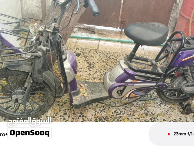 2024 اخرى اخرى