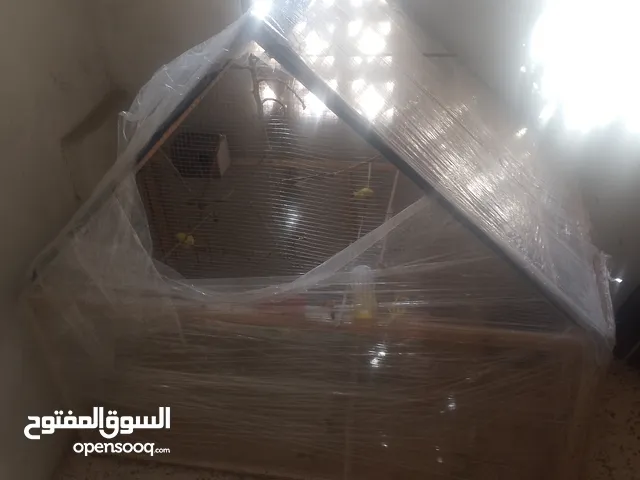 مطير عصافير حجم كبير