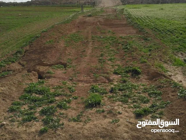 Farm Land for Sale in Irbid University of Science and Technology